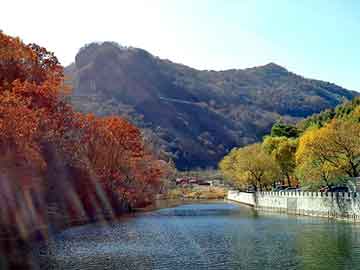 奥门天天开奖免费资料，专业去眼袋医院